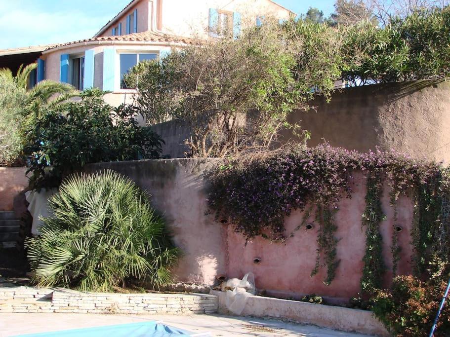 Incredible Apartment Near The Sea And Calanque La Ciotat Exteriér fotografie
